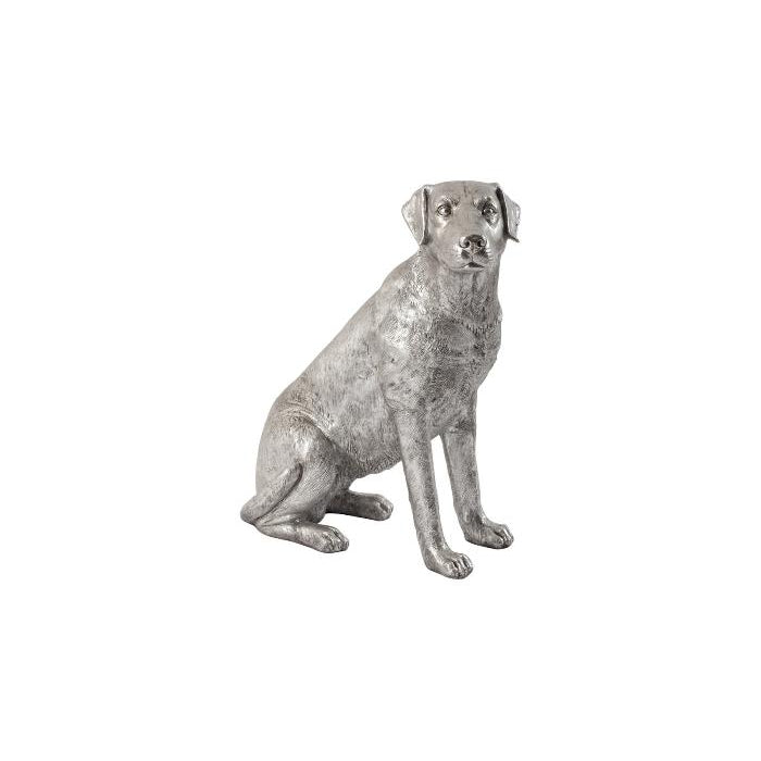 Phillips-Sammlung, Labrador Hund